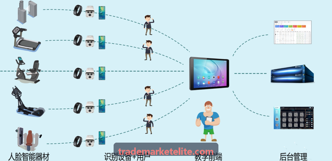 Bybit跨链桥代币解析研报